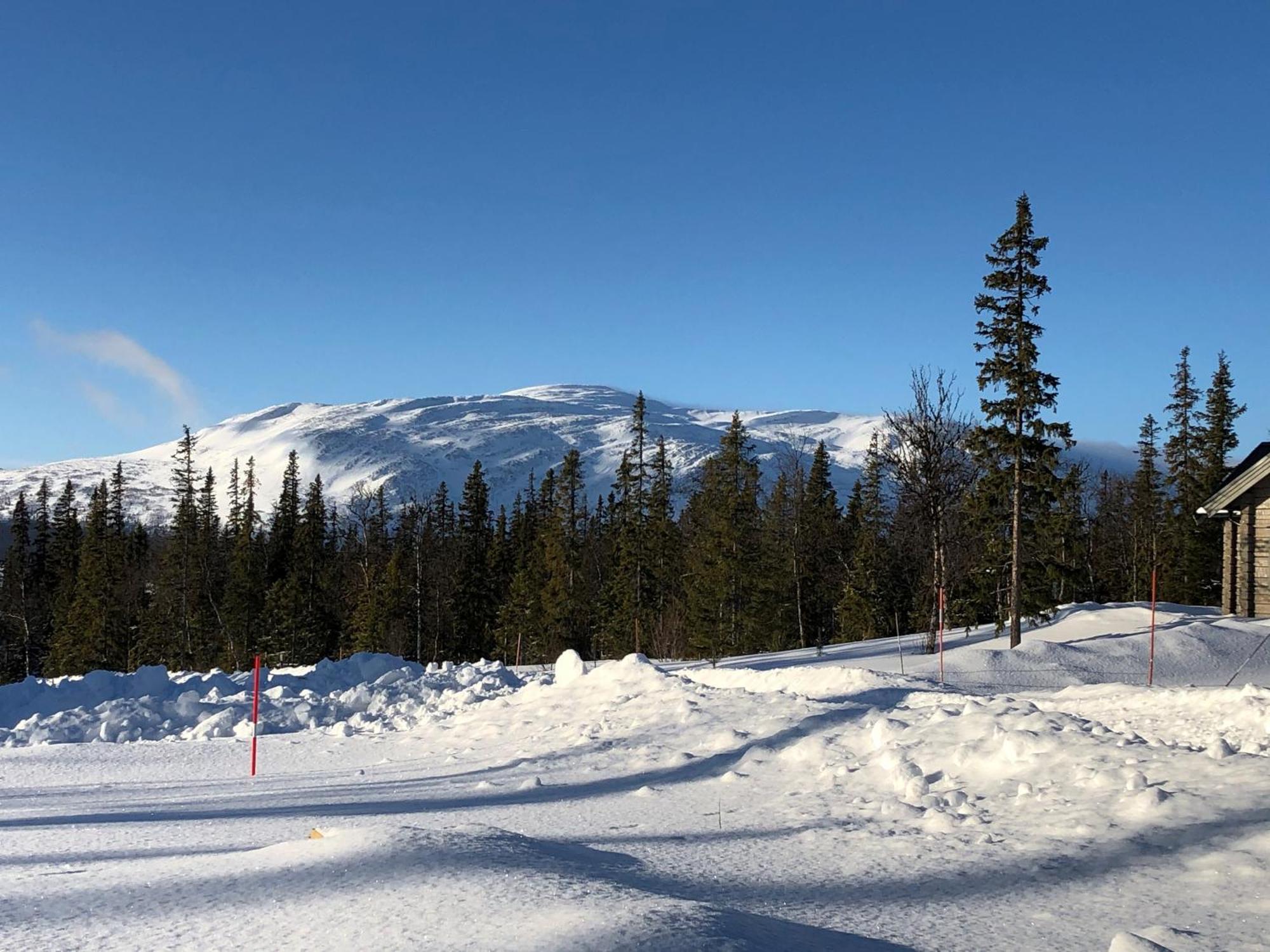 Mountain Holiday Homes - Ottsjoe, Trillevallen -Sweden آرا المظهر الخارجي الصورة