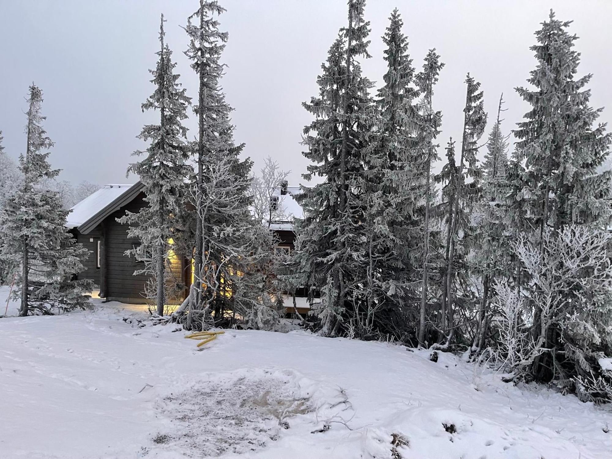 Mountain Holiday Homes - Ottsjoe, Trillevallen -Sweden آرا الغرفة الصورة