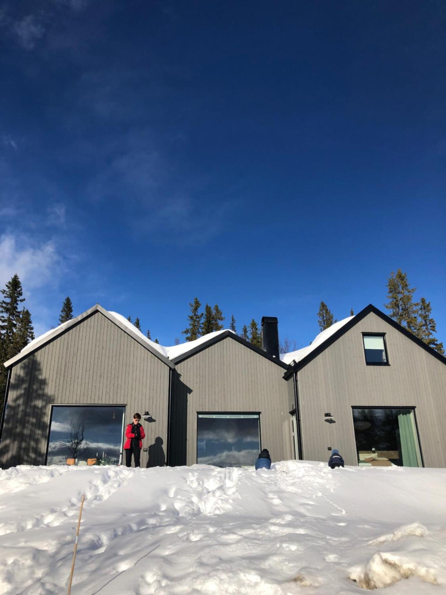 Mountain Holiday Homes - Ottsjoe, Trillevallen -Sweden آرا المظهر الخارجي الصورة