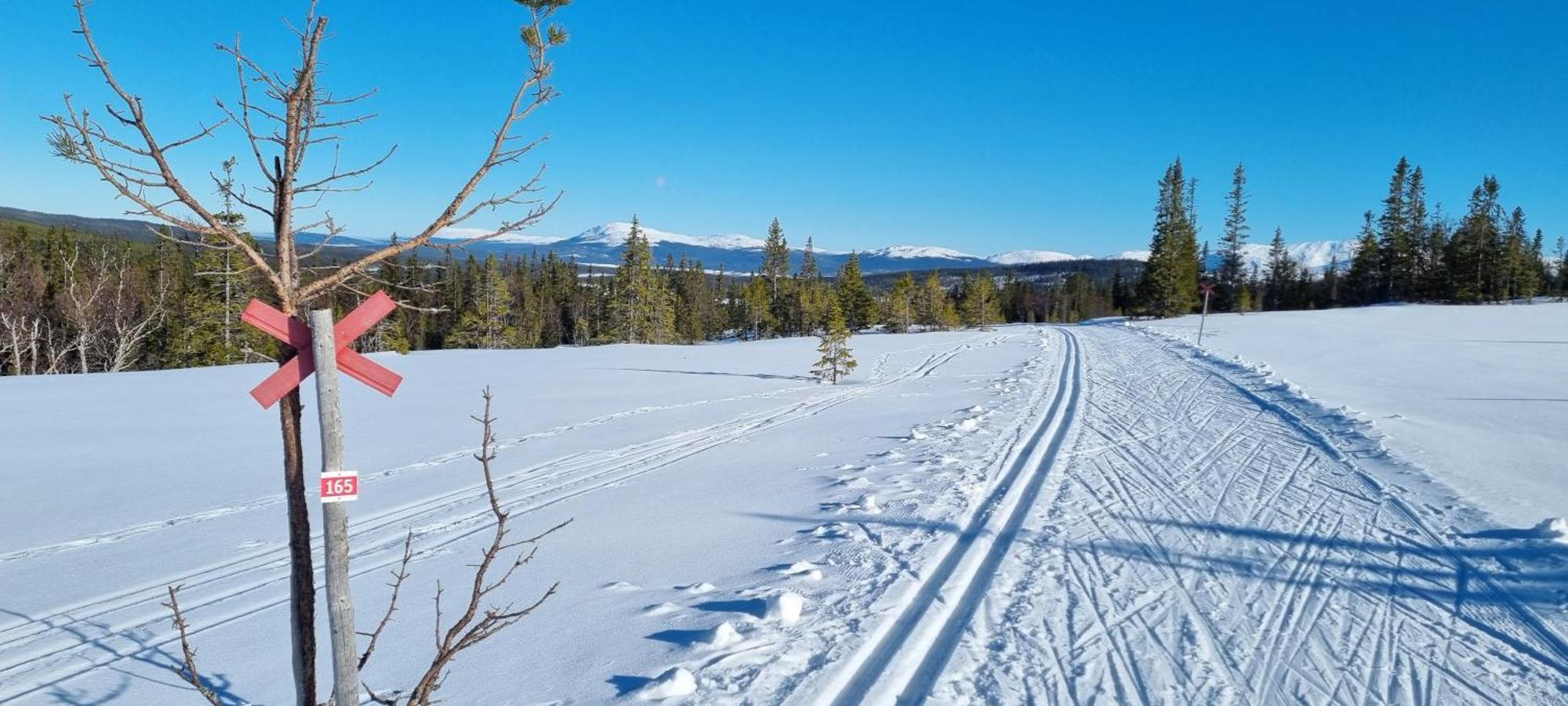 Mountain Holiday Homes - Ottsjoe, Trillevallen -Sweden آرا المظهر الخارجي الصورة