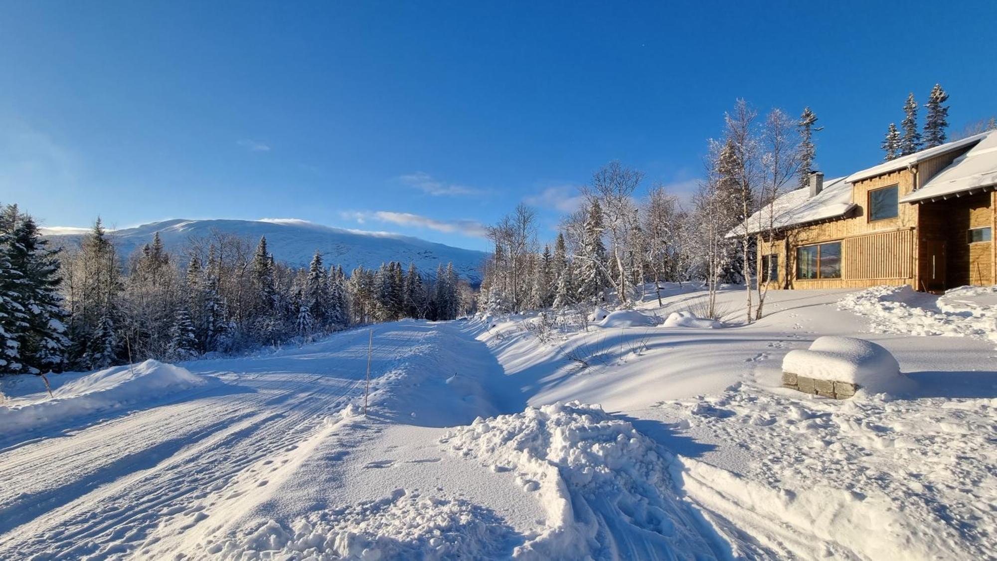 Mountain Holiday Homes - Ottsjoe, Trillevallen -Sweden آرا الغرفة الصورة
