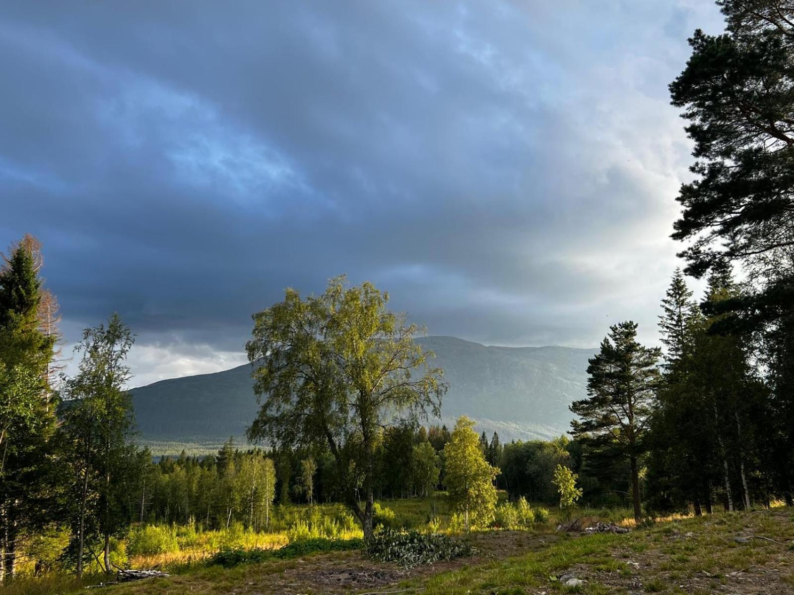 Mountain Holiday Homes - Ottsjoe, Trillevallen -Sweden آرا الغرفة الصورة